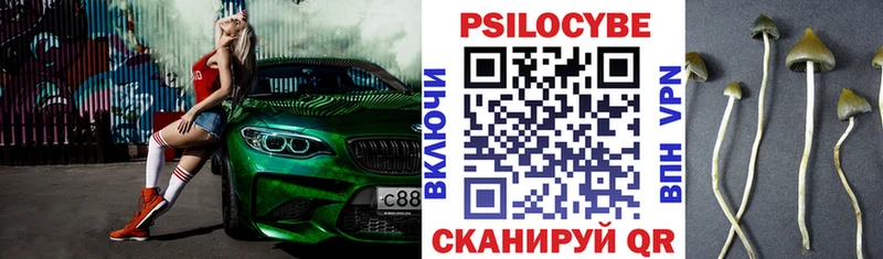 Псилоцибиновые грибы Magic Shrooms  Купить закладки  Трёхгорный 